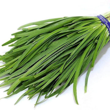 Chive Seeds – Chinese