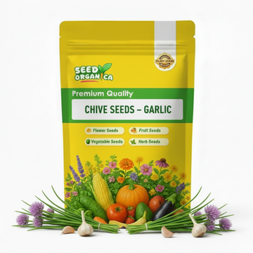 Chive Seeds – Garlic