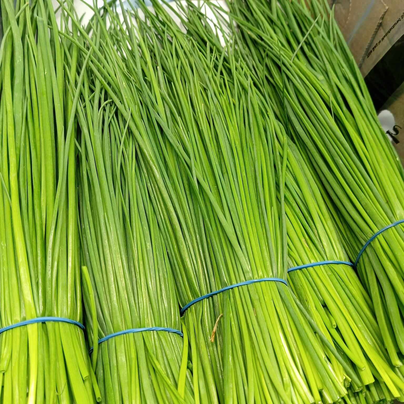 Chive Seeds – Garlic