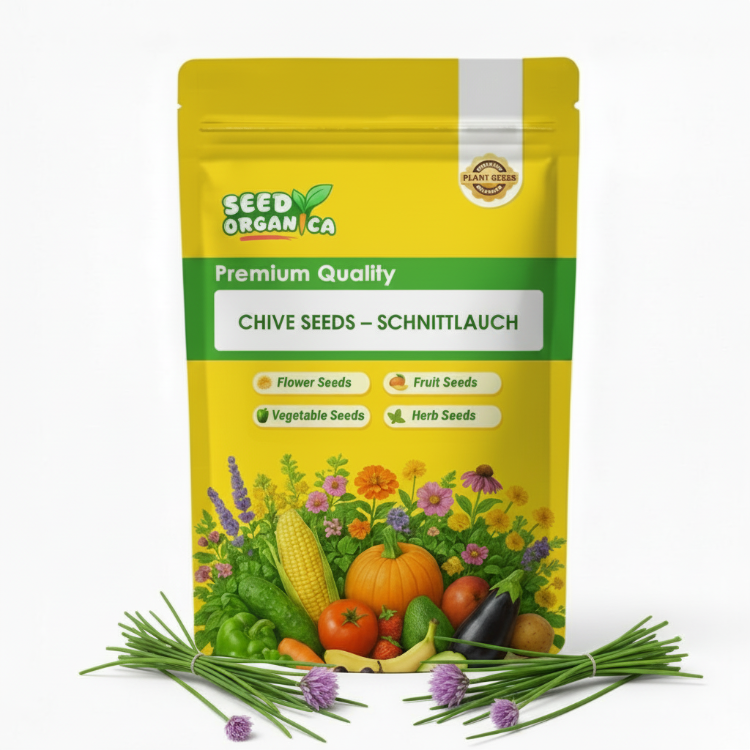 Chive Seeds – Schnittlauch