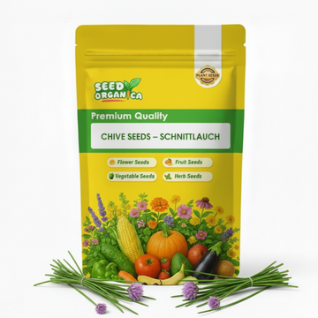 Chive Seeds – Schnittlauch