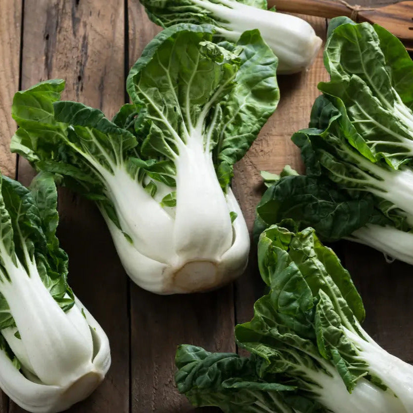 Choi Seeds - Blizzard Green White
