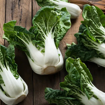 Choi Seeds - Blizzard Green White
