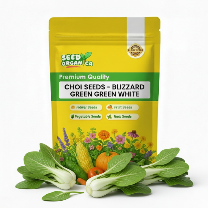 Choi Seeds - Blizzard Green White