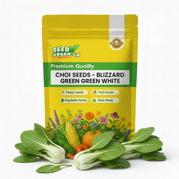 Choi Seeds - Blizzard Green White