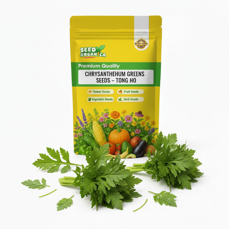 Chrysanthemum Greens Seeds – Tong Ho