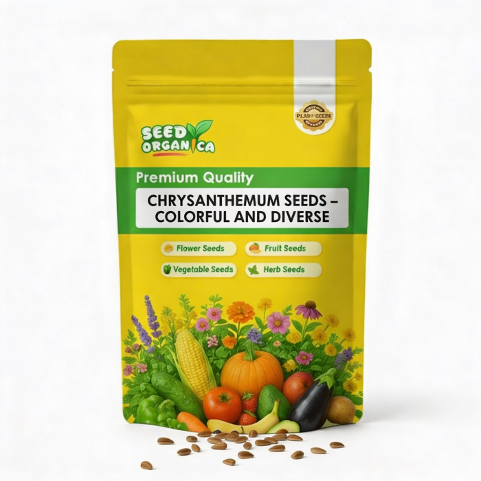 Chrysanthemum Seeds – Colorful and Diverse