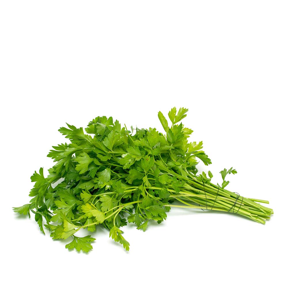 Cilantro Coriander Seeds
