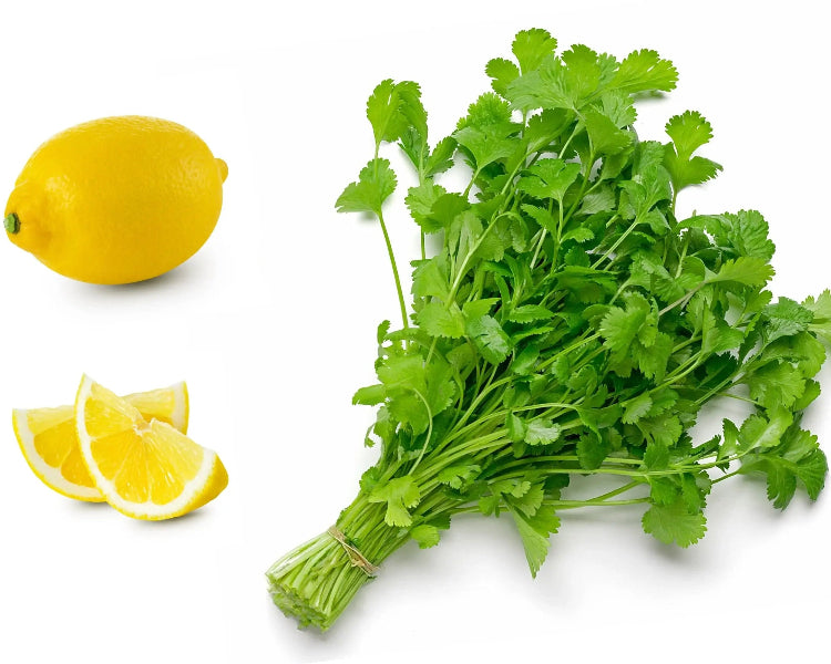 Cilantro Seeds – Organic Dwarf Lemon