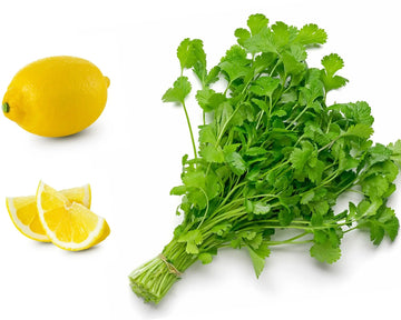 Cilantro Seeds – Organic Dwarf Lemon