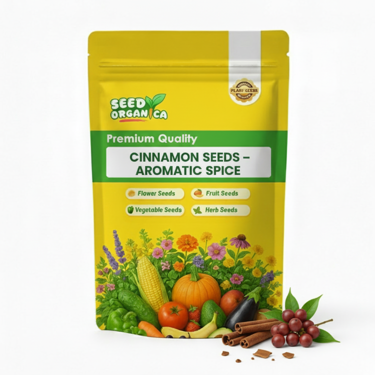 Cinnamon Seeds – Aromatic Spice