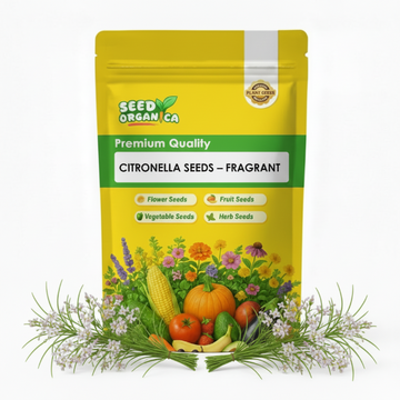 Citronella Seeds – Fragrant