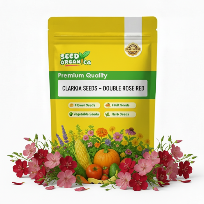Clarkia Seeds – Double Rose Red