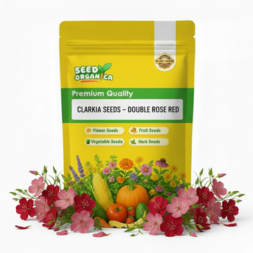 Clarkia Seeds – Double Rose Red