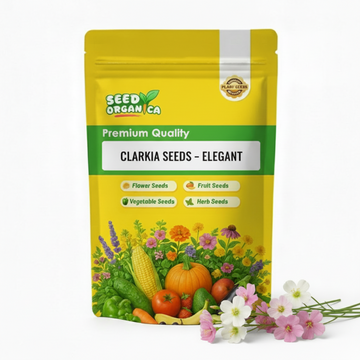 Clarkia Seeds – Elegant