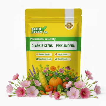 Clarkia Seeds – Pink Amoena