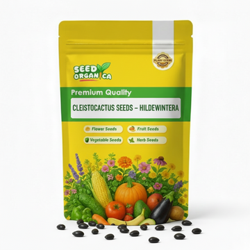 Cleistocactus Seeds – Hildewintera