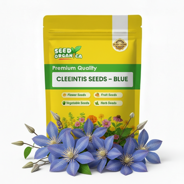 Clematis Seeds – Blue