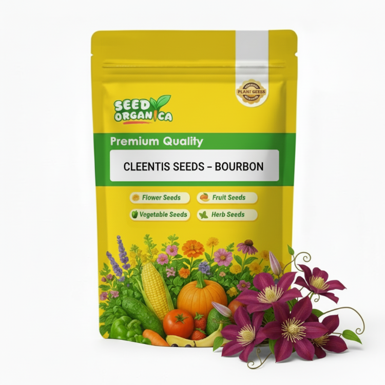 Clematis Seeds – Bourbon