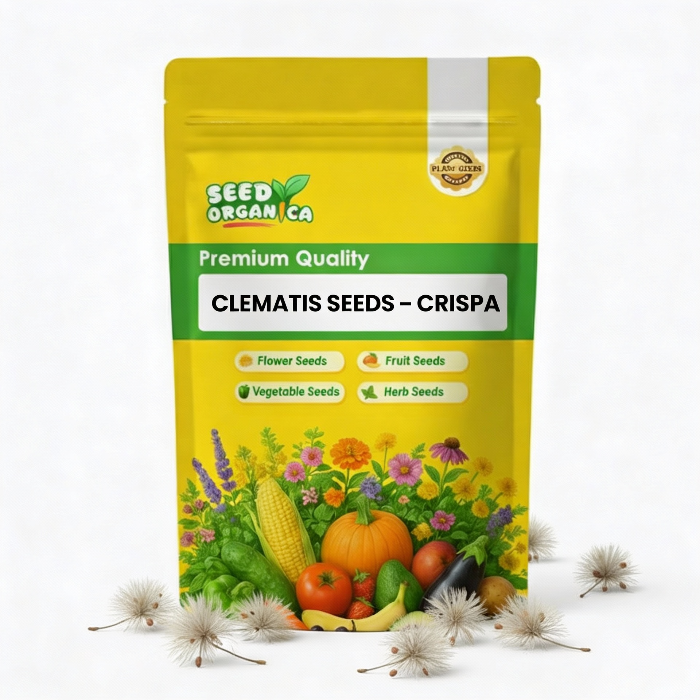 Clematis Seeds – Crispa