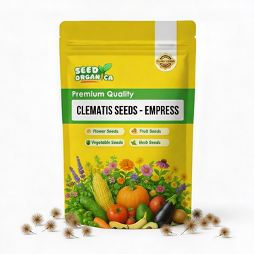 Clematis Seeds – Empress
