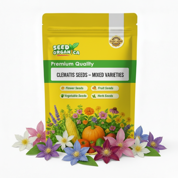 Clematis Seeds – Mixed Varieties