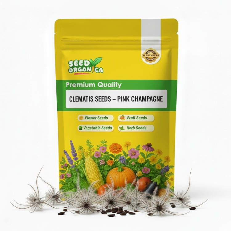Clematis Seeds – Pink Champagne