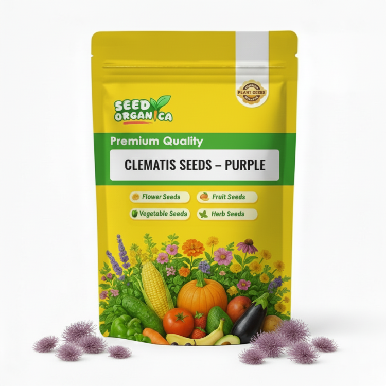 Clematis Seeds – Purple