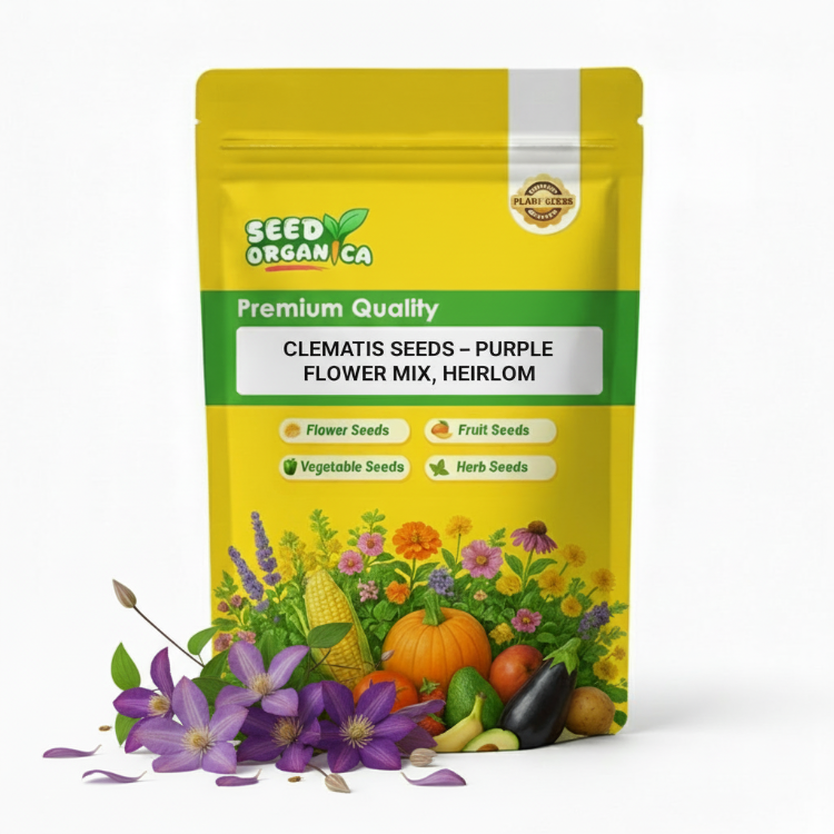 Clematis Seeds – Purple Flower Mix, Heirloom