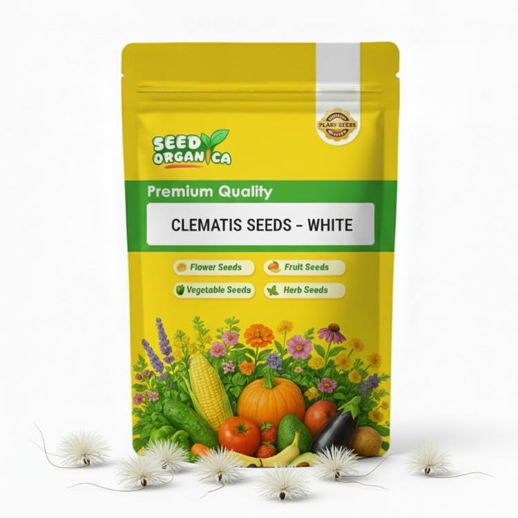 Clematis Seeds – White