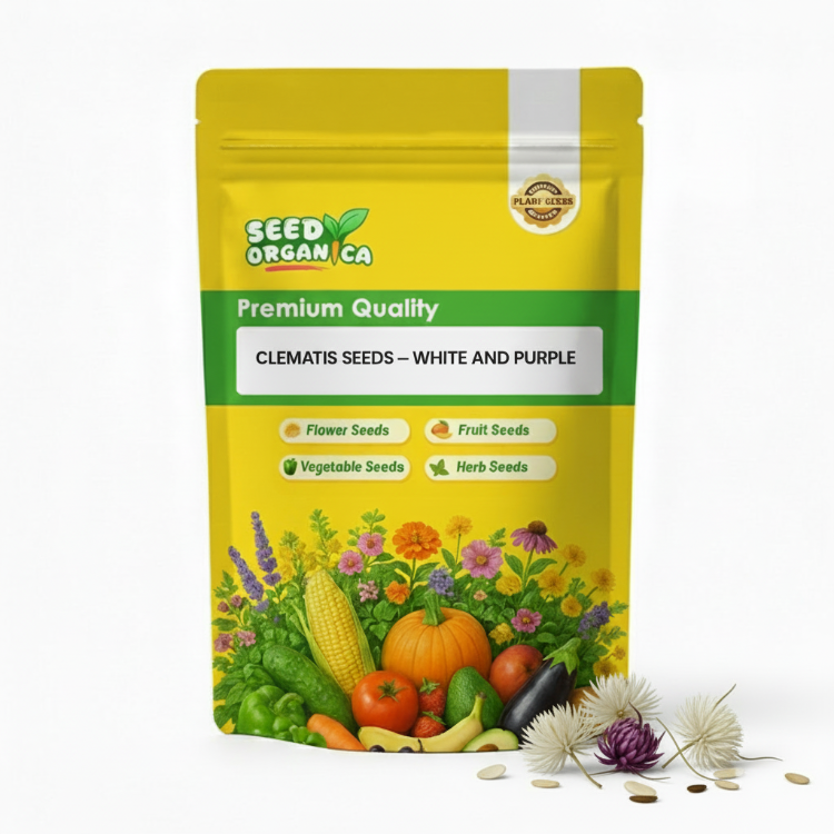 Clematis Seeds – White and Purple