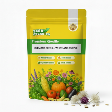 Clematis Seeds – White and Purple