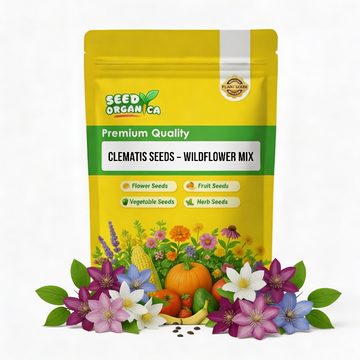 Clematis Seeds – Wildflower Mix