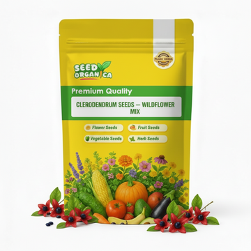 Clerodendrum Seeds – Wildflower Mix