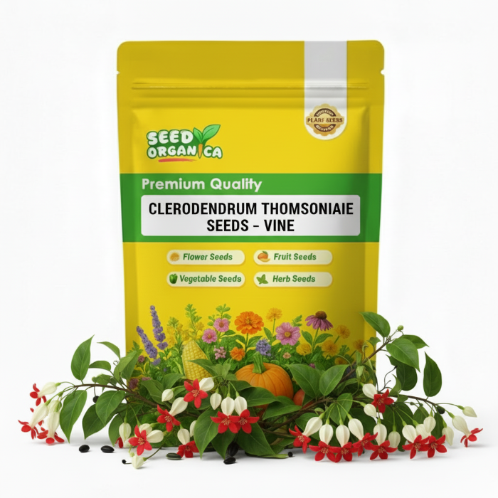 Clerodendrum Thomsoniae Seeds –  Vine