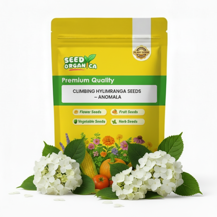 Climbing Hydrangea Seeds – Anomala