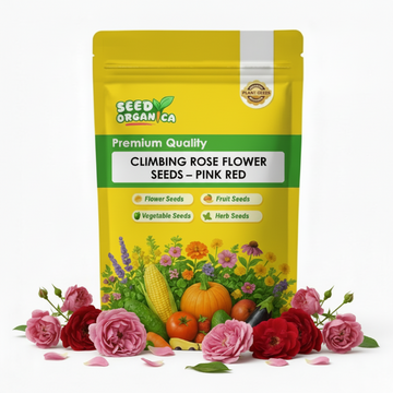 Climbing Rose Flower Seeds – Pink Red