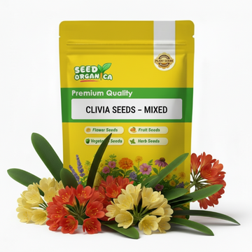 Clivia Seeds – Mixed