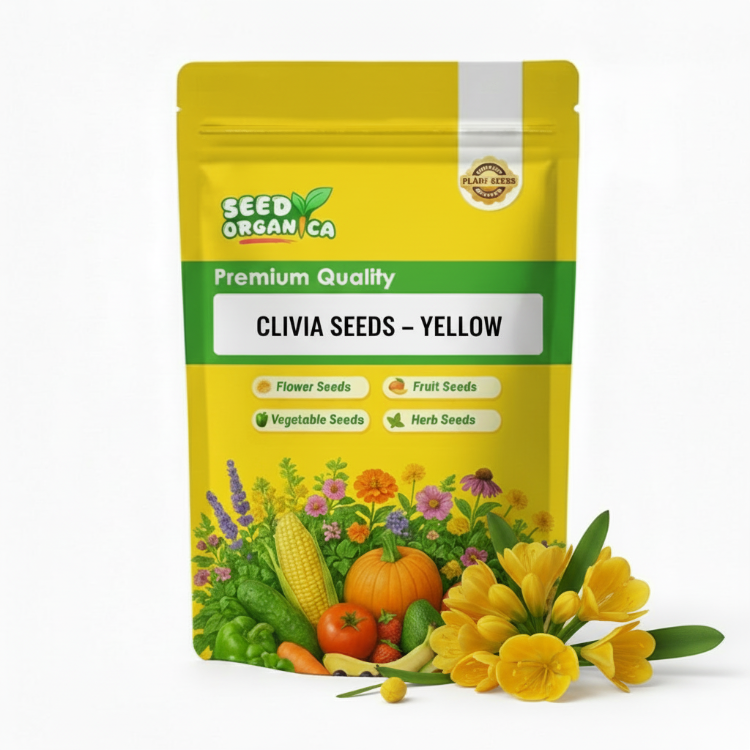Clivia Seeds – Yellow