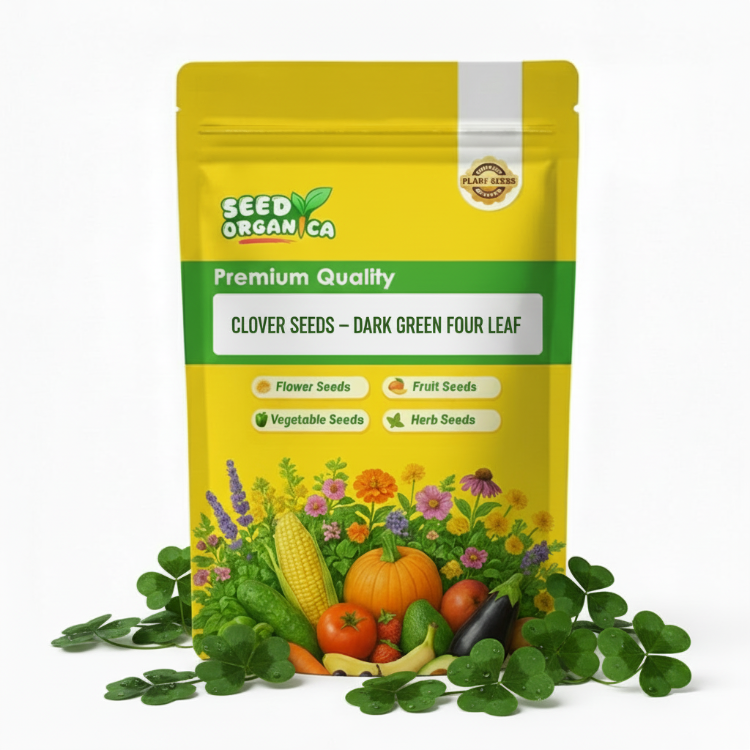 Clover Seeds – Dark Green Four Leaf