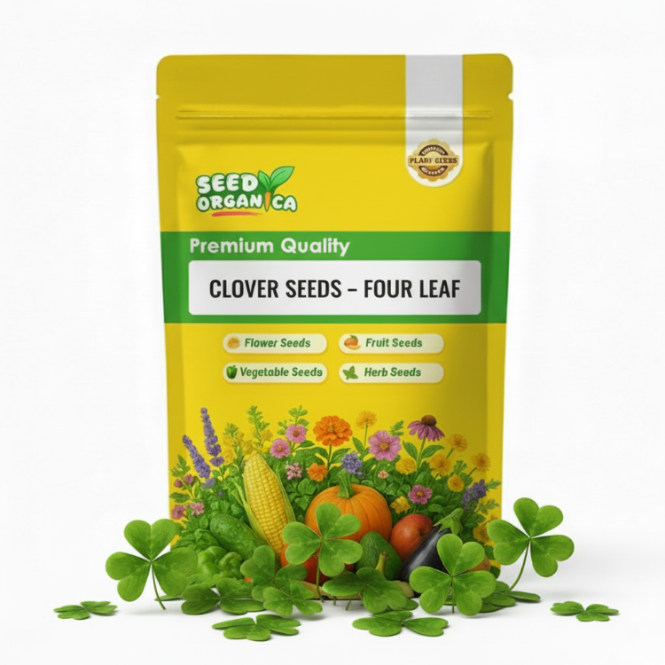 Four Leaf Clover Seeds | Lucky Garden Plant