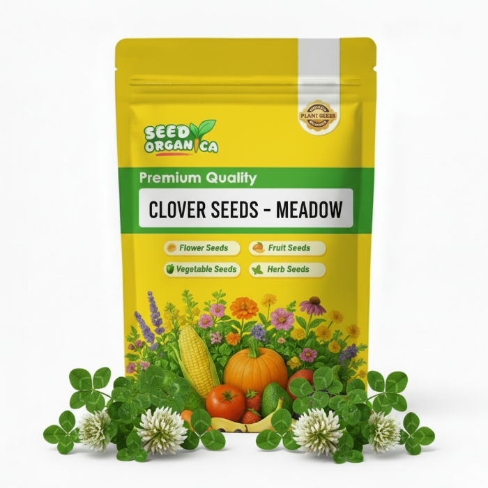 Clover Seeds – Meadow