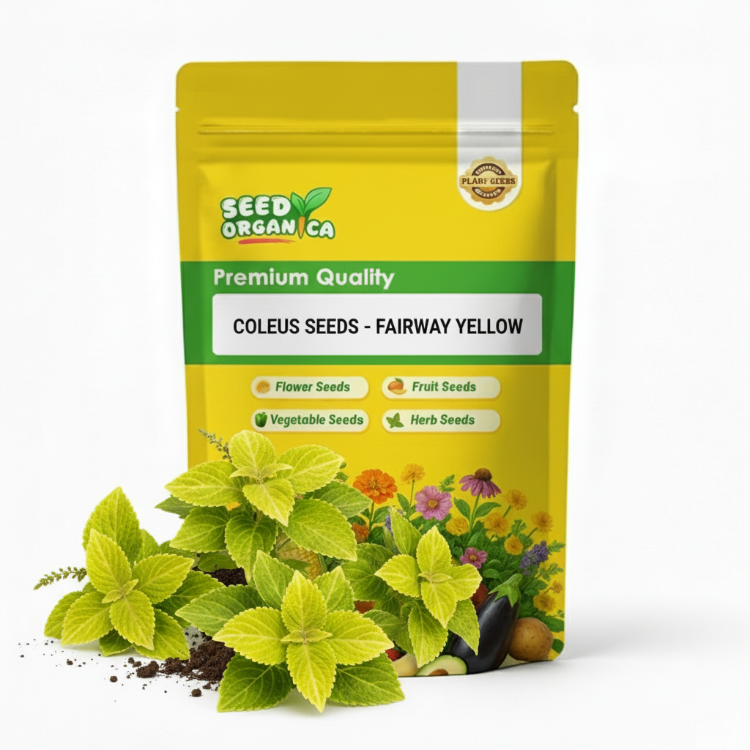 Coleus Seeds - Fairway Yellow