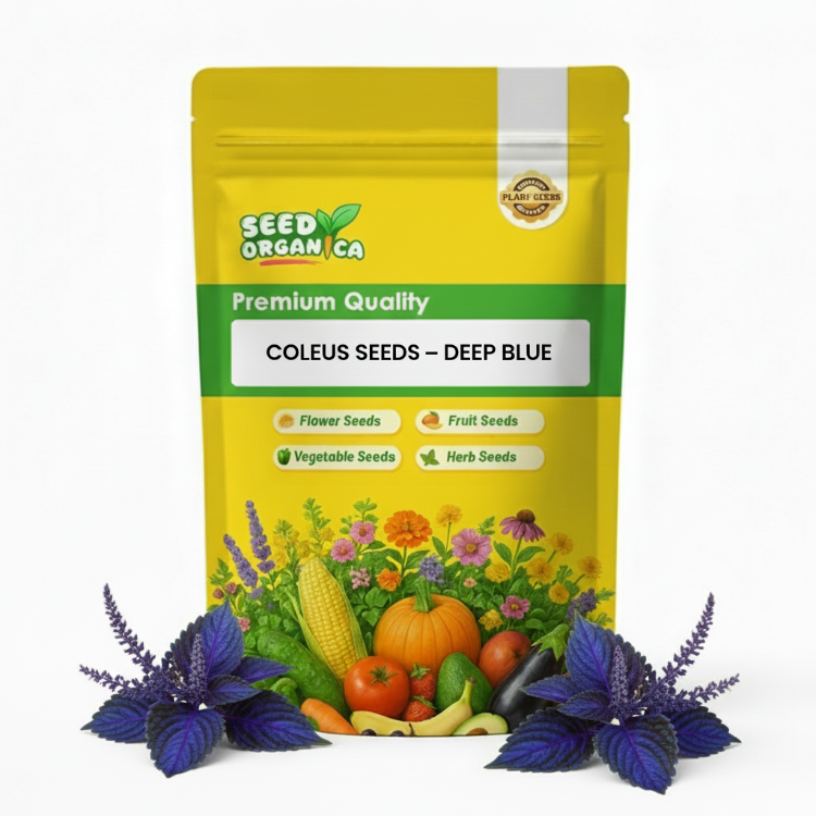 Coleus Seeds – Deep Blue
