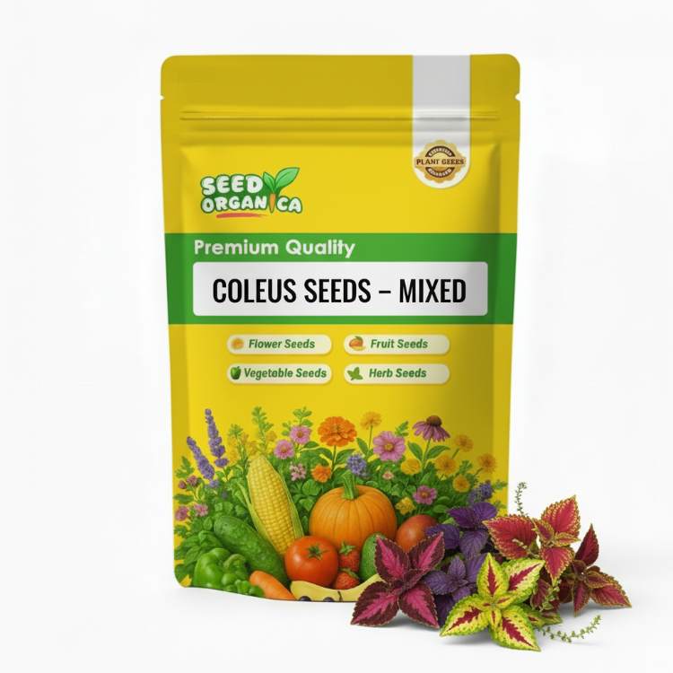 Coleus Seeds – Mixed