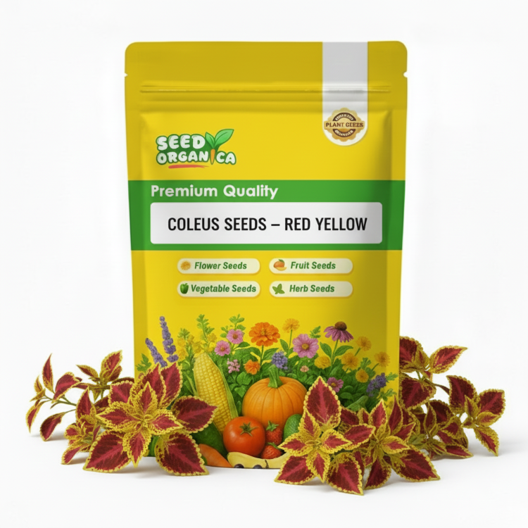 Coleus Seeds – Red Yellow