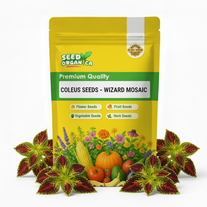 Coleus Seeds – Wizard Mosaic
