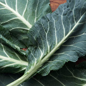 Collard Greens Seeds – Green