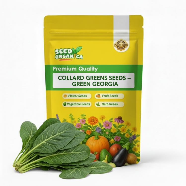 Collard Greens Seeds – Green Georgia