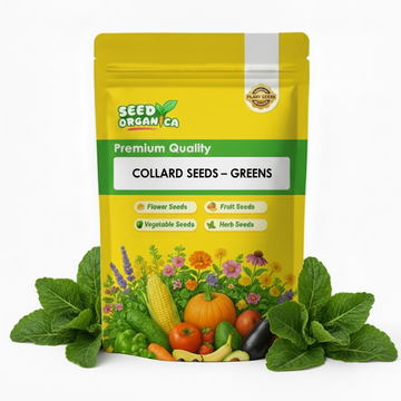 Collard Seeds – Greens